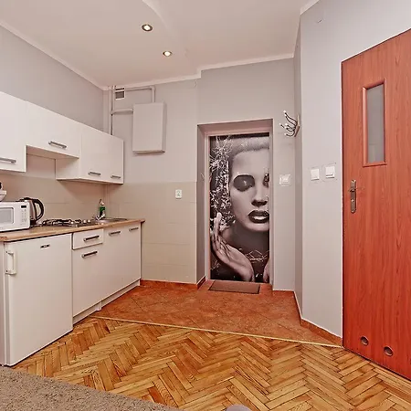 Kameralny Na Starowce Apartment Gdansk